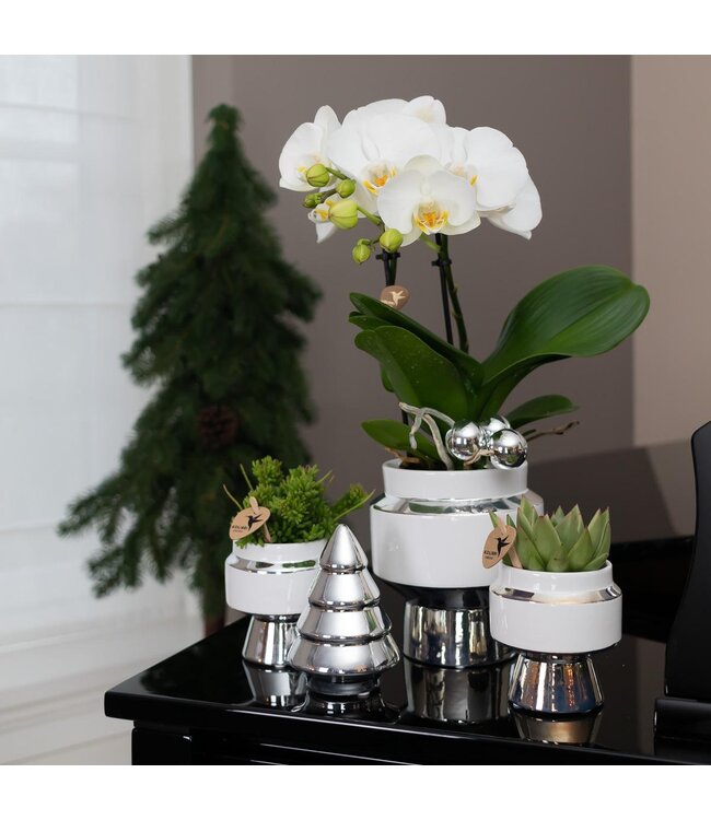 Kolibri Company Kolibri Home | Le Chic bloempot - Witte keramieken sierpot met zilveren details - Ø6cm