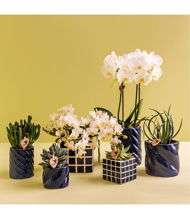 Kolibri Company Kolibri Home | Mosa sierpot - Blue - Ø9cm