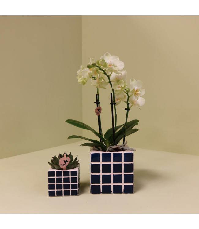 Kolibri Company Kolibri Home | Mosa sierpot - Blue - Ø9cm