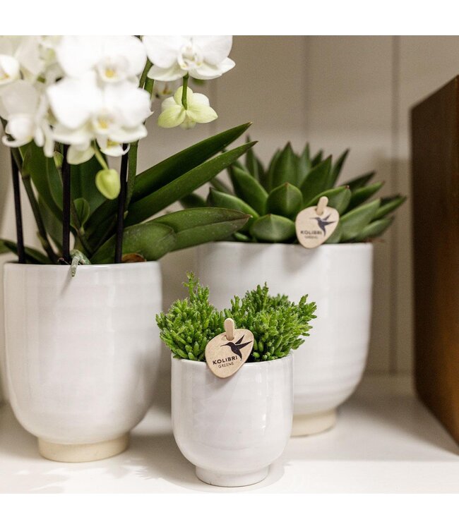 Kolibri Company Kolibri Home | Glazed bloempot - Witte keramieken sierpot met glans - Ø12cm