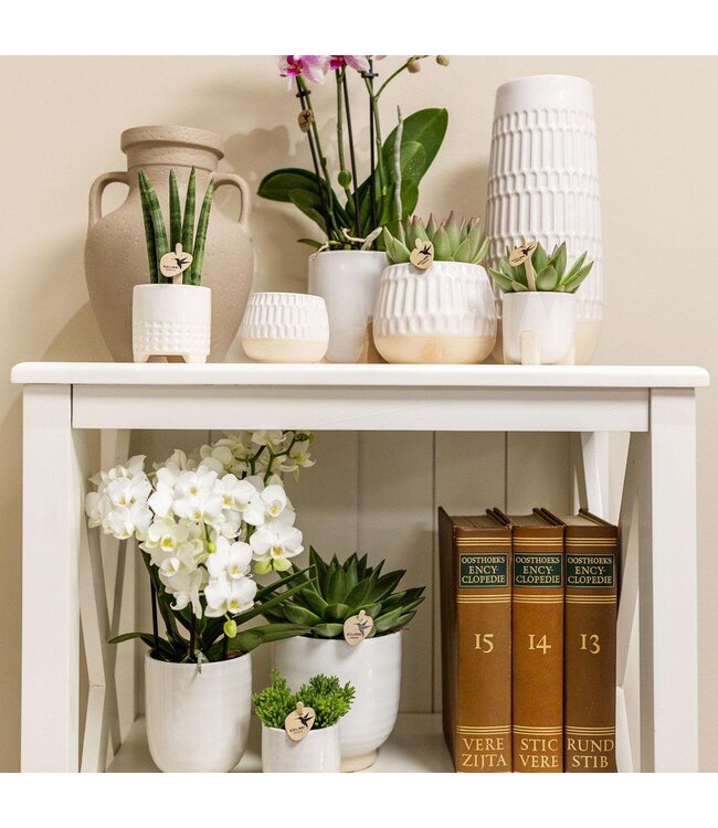 Kolibri Company Kolibri Home | Glazed bloempot - Witte keramieken sierpot met glans - Ø12cm