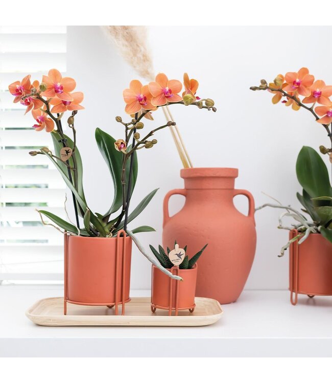 Kolibri Company Kolibri Home | Bamboe ovale dienblad