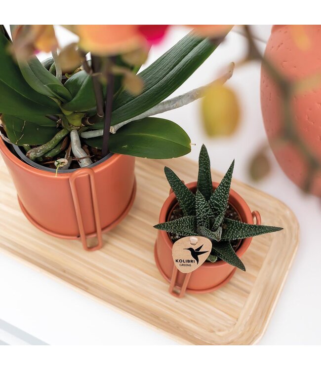 Kolibri Company Kolibri Home | Bamboe ovale dienblad