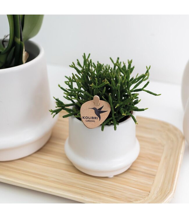 Kolibri Company Kolibri Home | Bamboe ovale dienblad