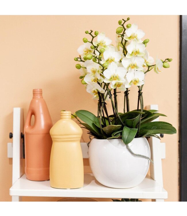 Kolibri Company Kolibri Home | Bowl bloempot - Witte keramieken sierpot - potmaat Ø9cm