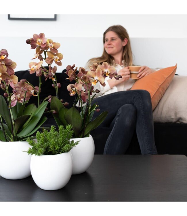 Kolibri Company Kolibri Home | Bowl bloempot - Witte keramieken sierpot - potmaat Ø9cm