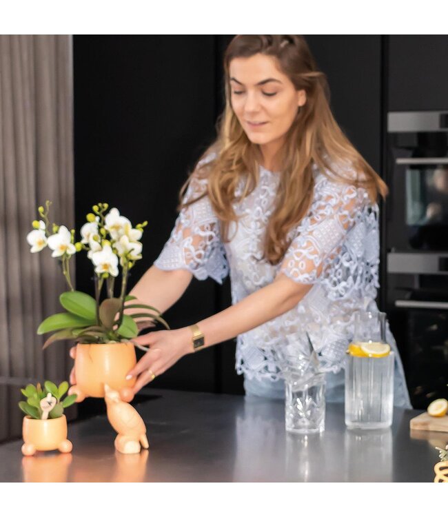 Kolibri Company Kolibri Home | Rolling peach bloempot - Peach kleurige keramieken sierpot Ø6cm