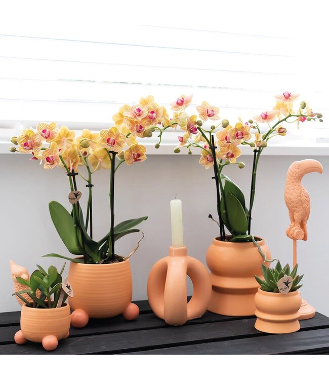 Kolibri Company Kolibri Home | Rolling peach bloempot - Peach kleurige keramieken sierpot Ø9cm