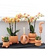 Kolibri Company Kolibri Home | Rolling peach bloempot - Peach kleurige keramieken sierpot Ø9cm