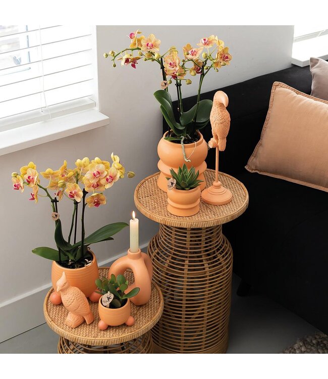 Kolibri Company Kolibri Home | Rolling peach bloempot - Peach kleurige keramieken sierpot Ø9cm