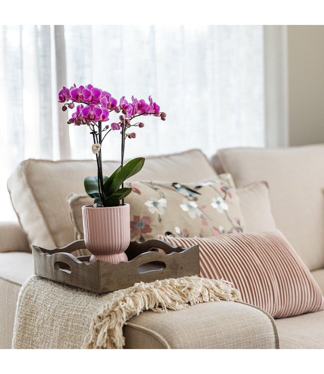 Kolibri Company Kolibri Home | Diabolo pot pink - Ø6cm