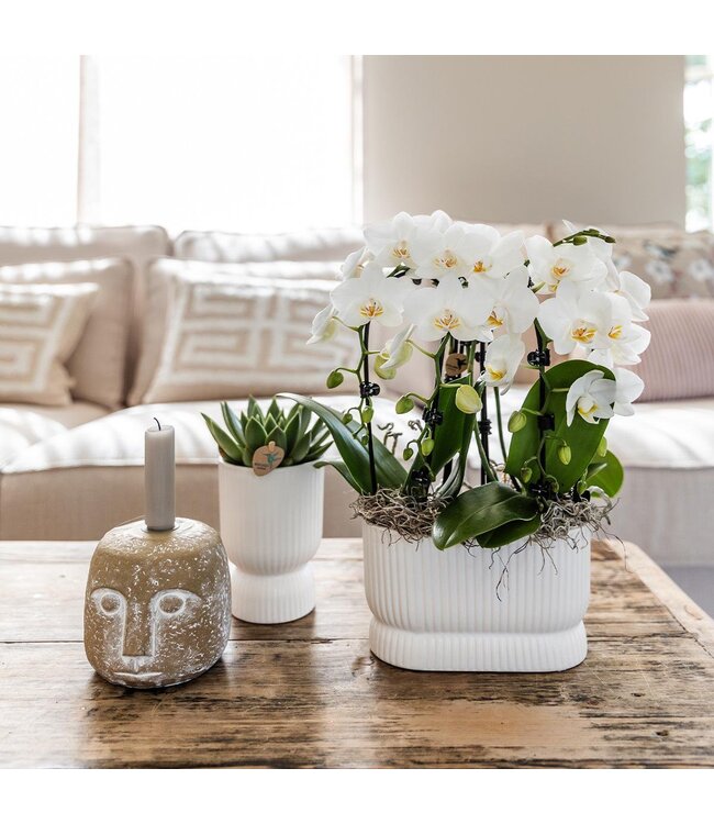 Kolibri Company Kolibri Home | Diabolo pot white - Ø12cm