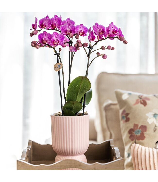 Kolibri Company Kolibri Home | Diabolo pot pink - Ø6cm