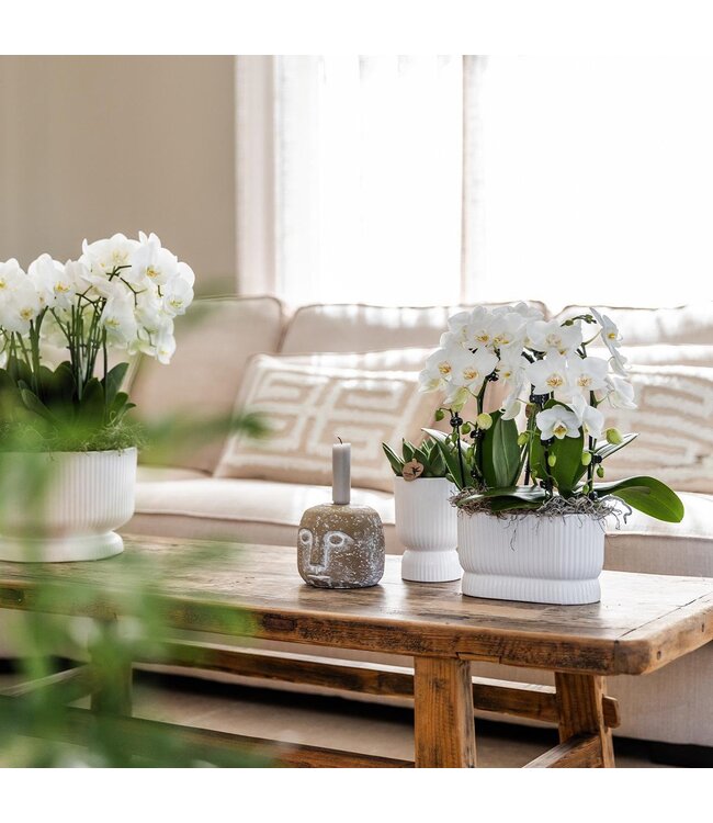 Kolibri Company Kolibri Home | Diabolo pot white - Ø12cm