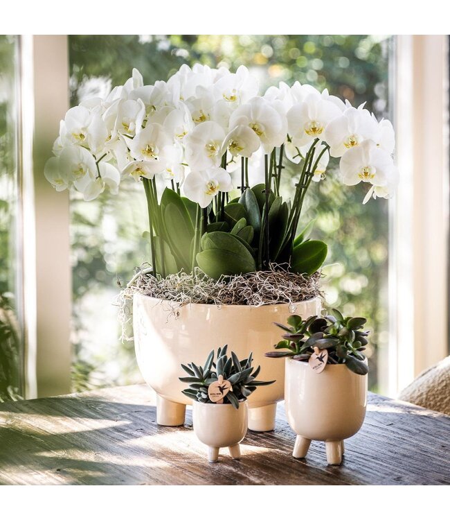 Kolibri Company Kolibri Home | Combi deal - Gummy travertine potten