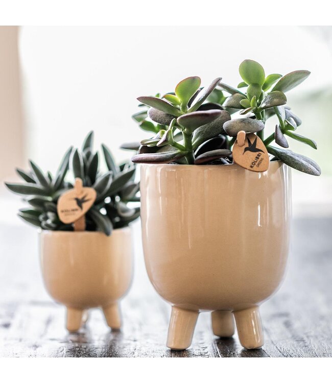 Kolibri Company Kolibri Home | Combi deal - Gummy travertine potten