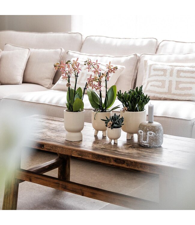 Kolibri Company Kolibri Home | Combi deal - Gummy travertine potten