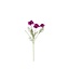 QMF Trading 3D real touch chrysanthemum purple | Zijden kunstbloem | Lengte 52cm  1pcs