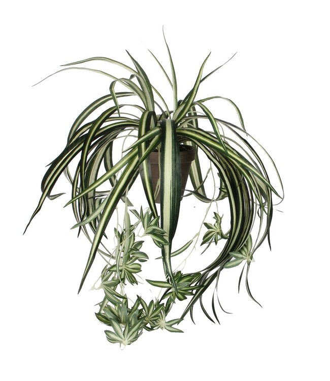 Mica Decorations Chlorophytum Kunstplant in Bloempot Stan - H45 x Ø45 cm - Groen