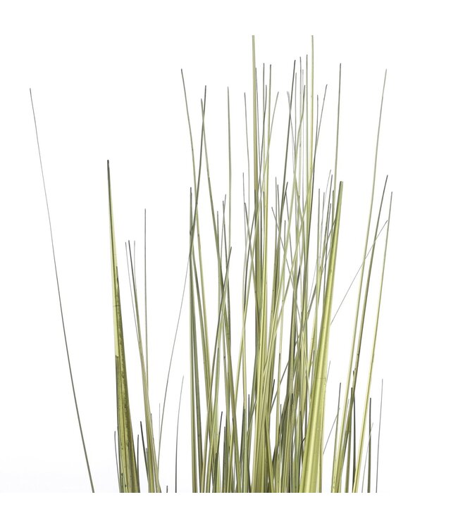 Mica Decorations Gras Kunstplant - H92 x Ø35 cm - Groen