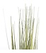 Mica Decorations Gras Kunstplant - H92 x Ø35 cm - Groen