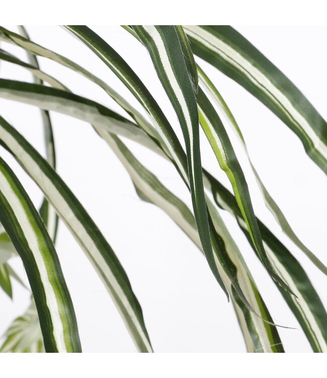 Mica Decorations Chlorophytum Kunstplant in Bloempot Stan - H45 x Ø45 cm - Groen