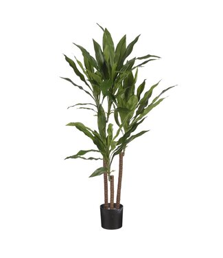 Mica Decorations Dracaena Kunstplant - H100 x Ø70 cm