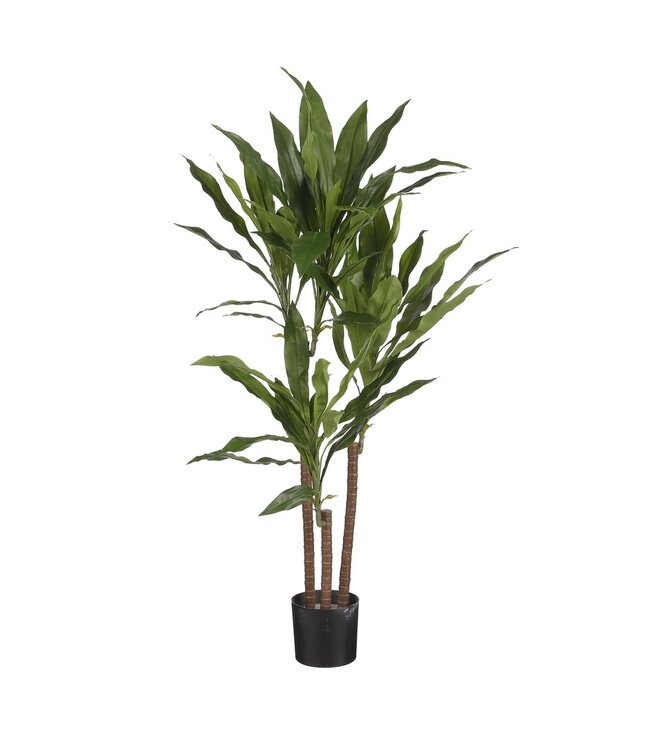 Mica Decorations Dracaena Kunstplant - H100 x Ø70 cm