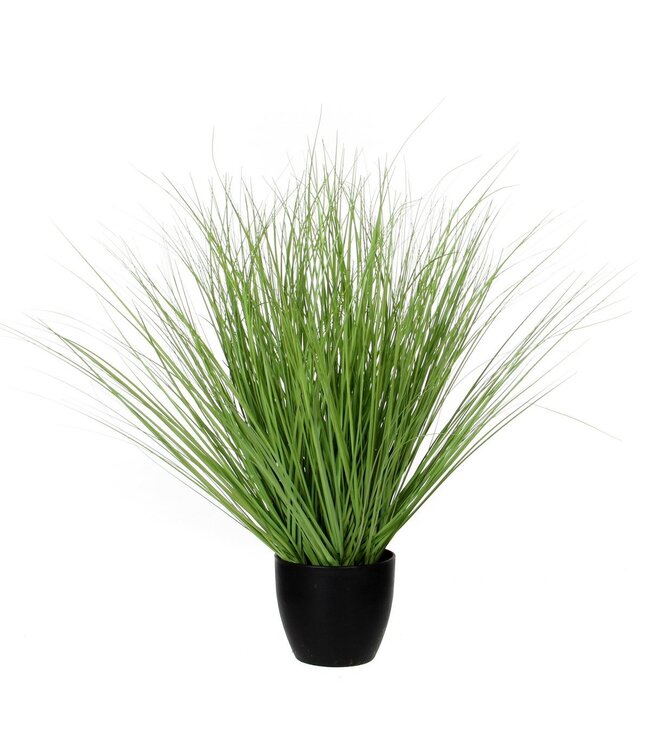 Mica Decorations Gras Kunstplant - H68 x Ø50 cm - Groen