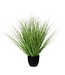 Mica Decorations Gras Kunstplant - H68 x Ø50 cm - Groen