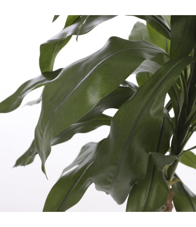 Mica Decorations Dracaena Kunstplant - H100 x Ø70 cm