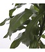 Mica Decorations Dracaena Kunstplant - H100 x Ø70 cm