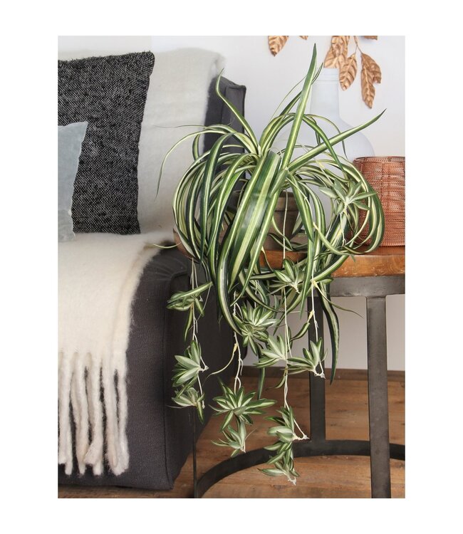 Mica Decorations Chlorophytum Kunstplant in Bloempot Stan - H45 x Ø45 cm - Groen