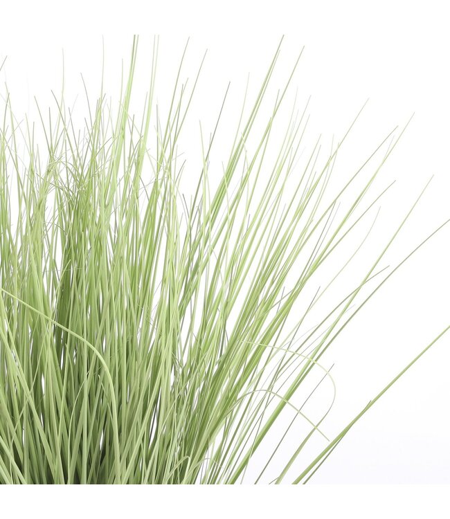 Mica Decorations Gras Kunstplant - H68 x Ø50 cm - Groen