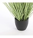 Mica Decorations Gras Kunstplant - H68 x Ø50 cm - Groen