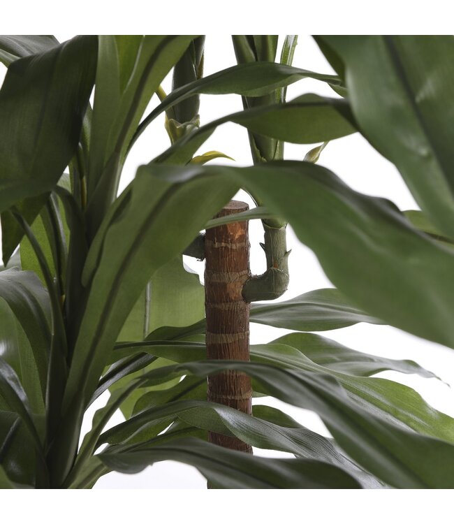 Mica Decorations Dracaena Kunstplant - H100 x Ø70 cm