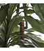 Mica Decorations Dracaena Kunstplant - H100 x Ø70 cm