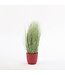 Mica Decorations Gras Kunstplant - H68 x Ø50 cm - Groen