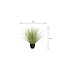 Mica Decorations Gras Kunstplant - H68 x Ø50 cm - Groen