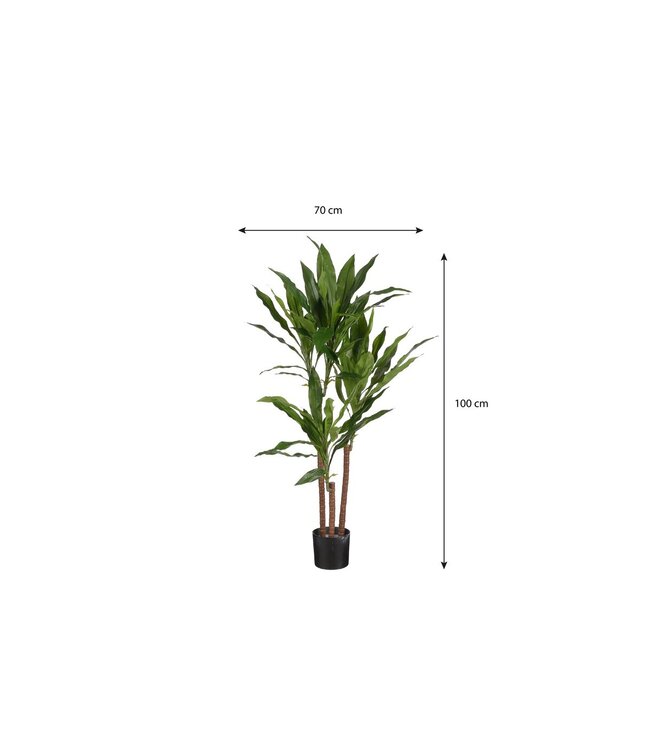 Mica Decorations Dracaena Kunstplant - H100 x Ø70 cm