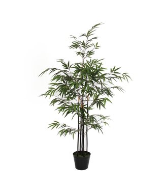 Mica Decorations Bamboe Kunstplant - H120 x Ø75 cm - Groen