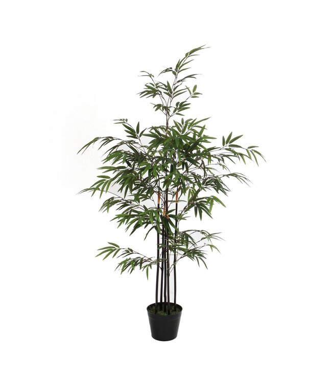 Mica Decorations Bamboe Kunstplant - H120 x Ø75 cm - Groen