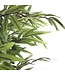 Mica Decorations Bamboe Kunstplant - H120 x Ø75 cm - Groen