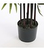 Mica Decorations Bamboe Kunstplant - H120 x Ø75 cm - Groen