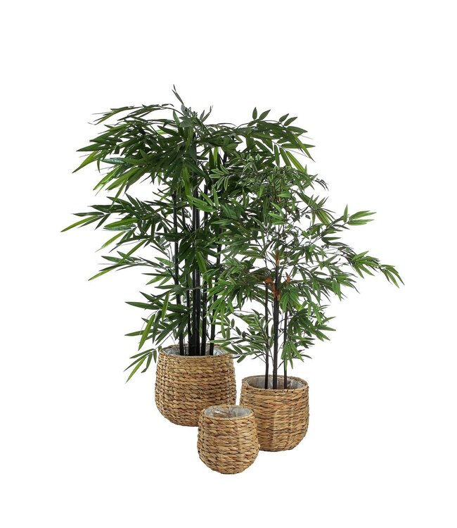 Mica Decorations Bamboe Kunstplant - H120 x Ø75 cm - Groen