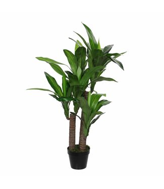 Mica Decorations Dracaena Kunstplant - H110 x Ø60 cm
