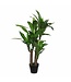 Mica Decorations Dracaena Kunstplant - H110 x Ø60 cm