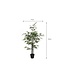 Mica Decorations Bamboe Kunstplant - H120 x Ø75 cm - Groen