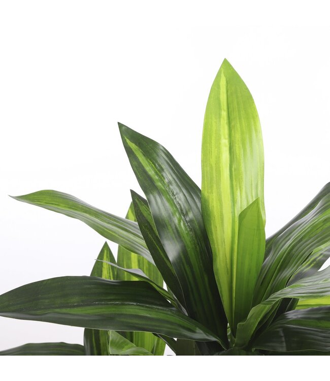 Mica Decorations Dracaena Kunstplant - H110 x Ø60 cm