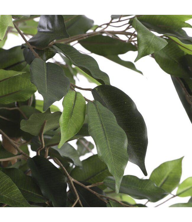 Mica Decorations Ficus Kunstplant - H110 x Ø65 cm - Groen
